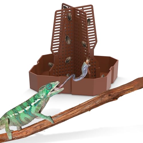 Fischuel Chamäleon Futternapf für Reptilienterrarium, Kletterdesign für Reptilien zur Jagd, geeignet zum Füttern von Eidechsen, Bartagamen, Geckos, Wächtern, Fröschen, Rotbraun, Klein Fischuel Chamäleon Futternapf für Reptilienterrarium, Kletterdesign für Reptilien zur Jagd, geeignet zum Füttern von Eidechsen, Bartagamen, Geckos, Wächtern, Fröschen, Rotbraun, Klein von Fischuel