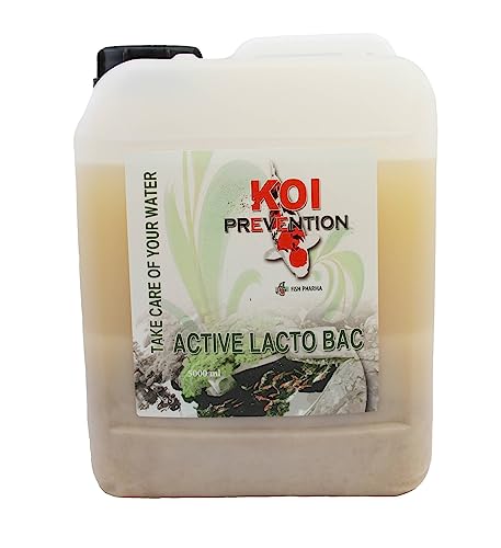 Fish Pharma, Koi 5kg Lacto Bac, Milchsäure, Enzyme, Probiotika Fish Pharma, Koi 5kg Lacto Bac, Milchsäure, Enzyme, Probiotika von Fish Pharma