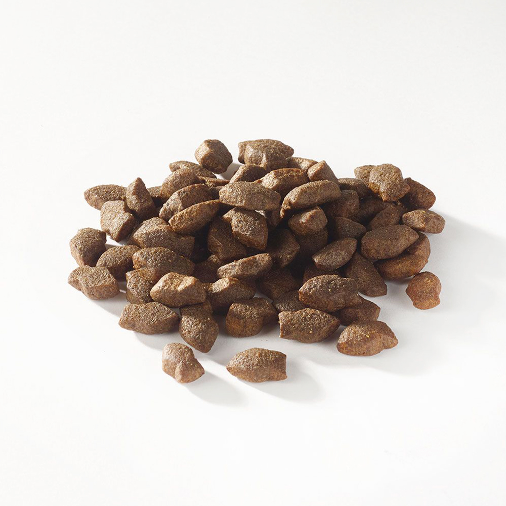 Fish4Dogs Support+ Puppy Salmon Mini Morsels - 150 g Fish4Dogs Support+ Puppy Salmon Mini Morsels - 150 g von Fish4Dogs