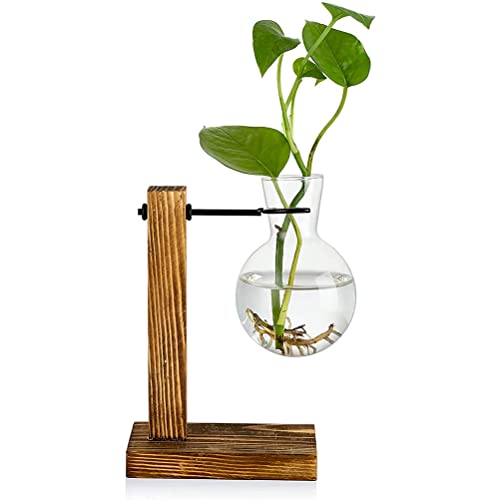 FitBest Schreibtisch-Glas-Pflanzgefäß, Luftpflanze, Terrarium, Pflanzgefäß, Blumenzwiebel, Vase mit Holzständer für die Anzuchtung, Hydrokulturpflanzen, Zuhause, Schlafzimmer, Gartendekoration von FitBest