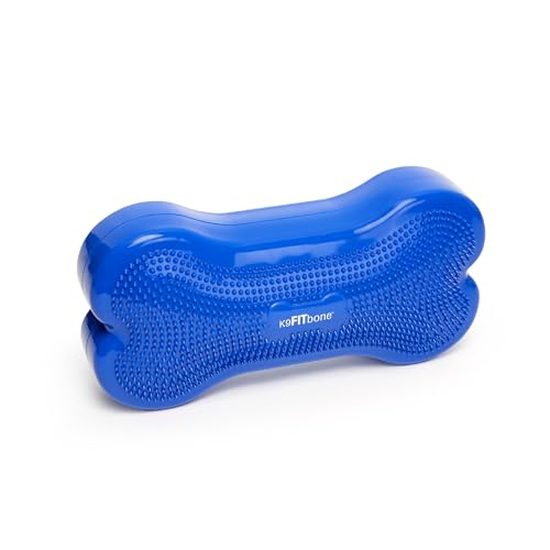 Ball Dynamics FPK9BONE BL K9FITbone, Balance - Trainingsgerät, 58 x 29 x 10m, himmelblau Ball Dynamics FPK9BONE BL K9FITbone, Balance - Trainingsgerät, 58 x 29 x 10m, himmelblau von FitPAWS