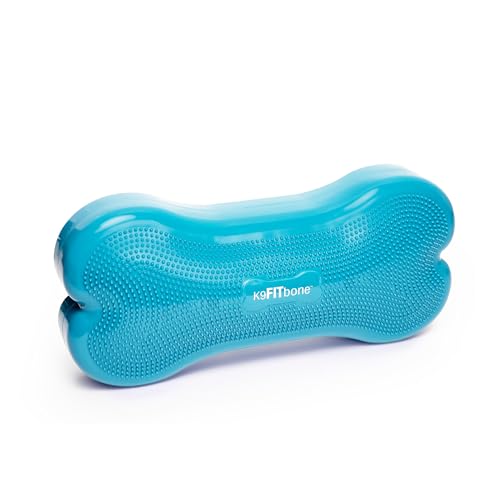 FitPAWS Giant Fitbone (blau) von FitPAWS