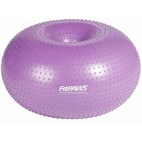 FitPaws Haustier-Fitnessball von FitPaws