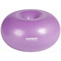 FitPaws Haustier-Fitnessball von FitPaws