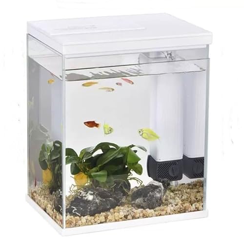 Kleines Betta-Fischtank, Glas-Aquarium-Starter-Set, kleines Aquarium mit Filter und Licht, Mini-Goldfischbecken (Farbe: Weiß) von Fitlin