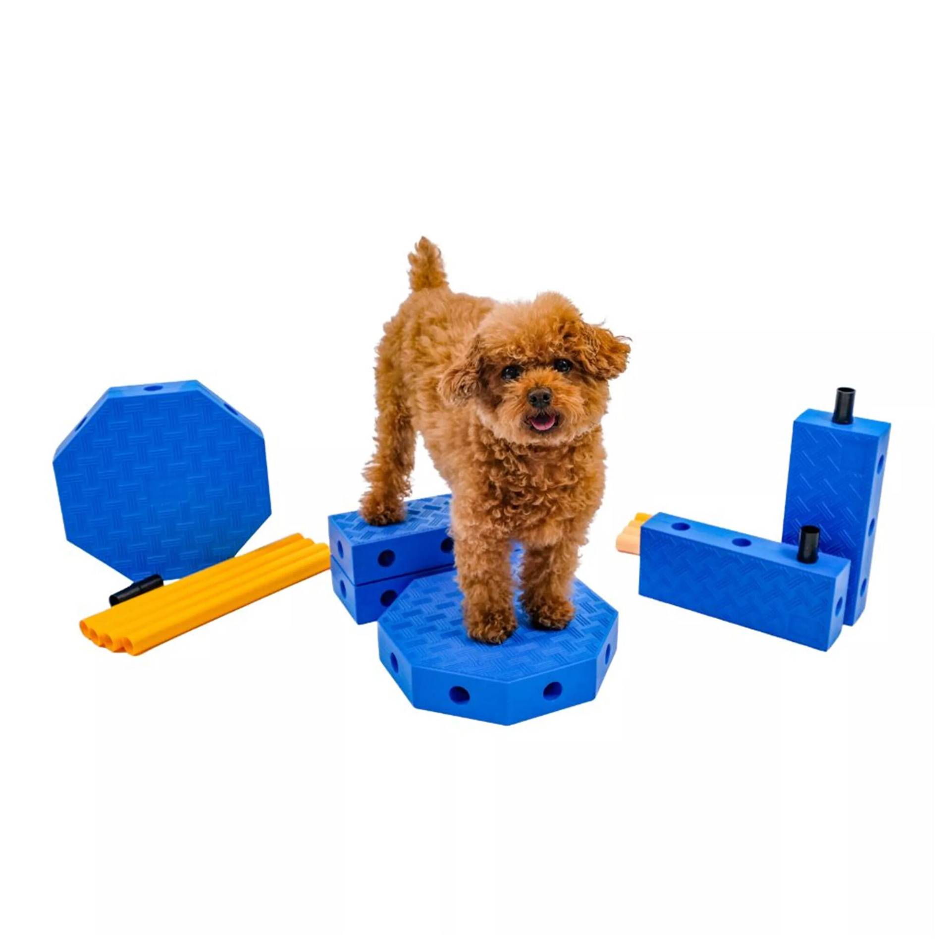 Fitpaws FitKinect Core Fitpaws FitKinect Core von Fitpaws