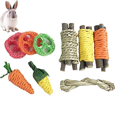 Fituenly Kaninchenkau-Spielzeug, Hamster-Kauspielzeug, Zahnpflege-Spielzeug für Kaninchen, Meerschweinchen, Chinchilla, Hamster, kleine Nagetiere zum Zähneknirschen von Fituenly