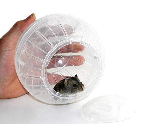 Hamster Gymnastikball 10cm Transparenter Hamster Ball Haustier Nagetier Laufrad Süße Jogging Bälle Spielzeug Für Gerbil Ratten Mäuse von Fituenly
