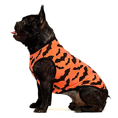 Fitwarm Hundekostüm, 100 % Baumwolle, für Halloween, Fledermaus, Hunde-Shirt, Welpen-Shirt, Haustierweste, Tank-Top, Katzent-Shirt, Orange, Größe S von Fitwarm