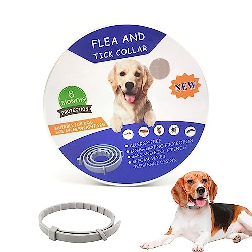 Zeckenhalsband für Hunde, Flohhalsband Hunde, Flohhalsband, Verstellbar, bis zu 8 Monate Zeckenschutz, Natürlich & Wasserdicht, 64cm(Asche) von FiveMileBro