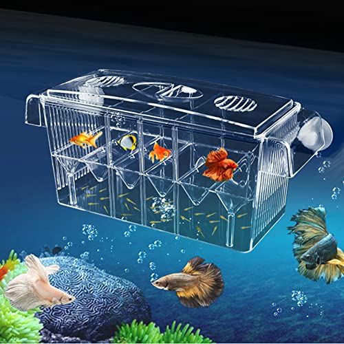 Aquarienzuchtbox,Acryl-Fisch-Isolationsbox Aquarium Brut Inkubator - Hatchery Incubator Box für Fische, Garnelen, Clownfische und Guppys Fivetoo von Fivetoo