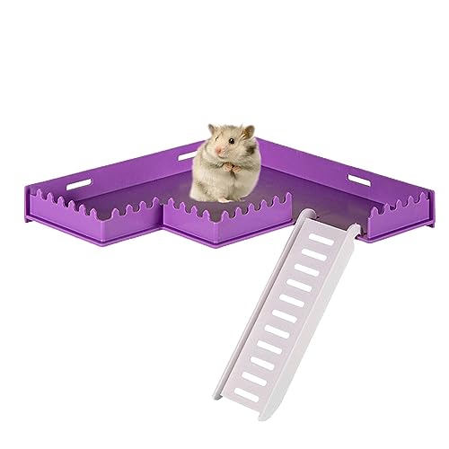 Fivetoo Hamsterkäfig-Plattform – lustige Käfig-Spielplatz-Plattform mit sicherem PVC | Habitat Ornamentplattform für Eichhörnchen, Hamster, Streifenhörnchen, Igel, Rennmäuse, Chinchillas, Papageien von Fivetoo