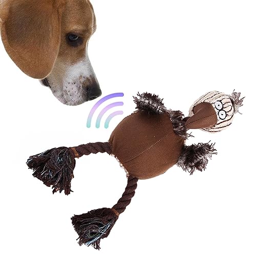Fivetoo Plüschspielzeug für Hunde – Vogelform aus Kordsamt, Beißring, interaktives Hundespielzeug mit eingebautem Klang, bequem und maschinenwaschbar, Haustier-Trainingsspaß für Zuhause von Fivetoo