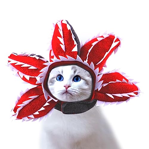 Katzen-Outfit, Cartoon-Hut für Katzen, Katzenhut, Kostüme für Katzen und kurzer Plüschhut für Katzen in drei Größen für Halloween, Maskerade, Zuhause und den täglichen Gebrauch Fivetoo von Fivetoo