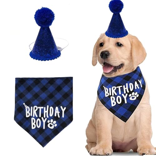 Hunde-Geburtstags-Halstuch und Mütze, blau-kariert, Party-Outfit für Hunde, langlebig, bequem für Welpenfeiern von Fizzix
