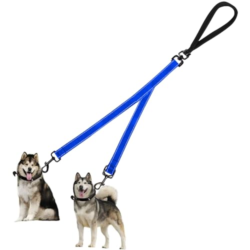 Fjquamitix Zweipunkt-Kontroll-Hundeleine, reflektierende Nähte und weich gepolsterter Griff, vielseitige Hundetrainingsleine (blau) von Fjquamitix