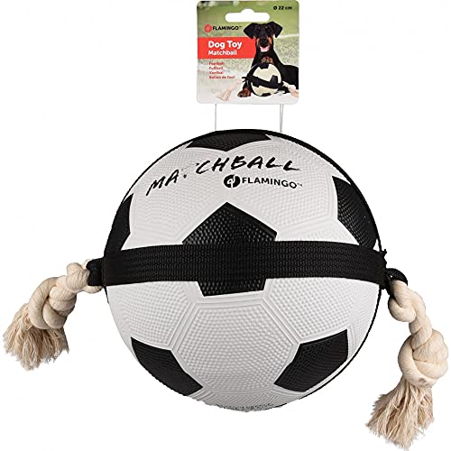 Flamingo Pet Products Fußball, Matchball, Durchmesser 19 cm, für Hunde, FL-5345415 von Flamingo Pet Products