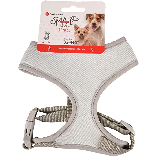 Flamingo Pet Products - Geschirr Small Dog Grün S Hals 24 cm Körper verstellbar von 32 bis 44 cm für Hunde Flamingo Pet Products - Geschirr Small Dog Grün S Hals 24 cm Körper verstellbar von 32 bis 44 cm für Hunde von Flamingo