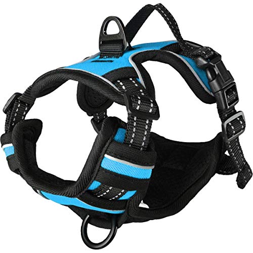 Geschirr BALOU BLAU S 40-55CM 20MM Geschirr BALOU BLAU S 40-55CM 20MM von Flamingo