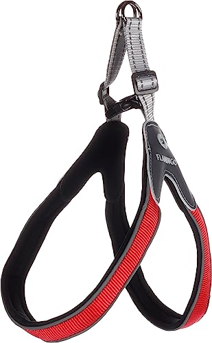 Easy Geschirr HILKA ROT XL 50-60CM 25MM Easy Geschirr HILKA ROT XL 50-60CM 25MM von Flamingo