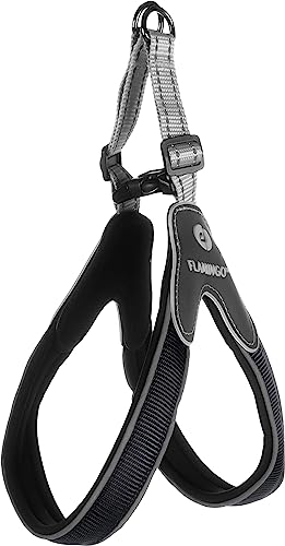 Easy Geschirr HILKA SCHWARZ L 45-55CM 25MM Easy Geschirr HILKA SCHWARZ L 45-55CM 25MM von Flamingo