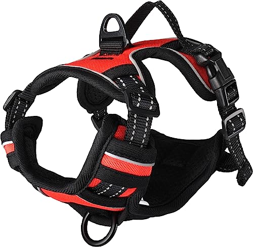 Geschirr BALOU ROT XS 30-45CM 15MM Geschirr BALOU ROT XS 30-45CM 15MM von Flamingo