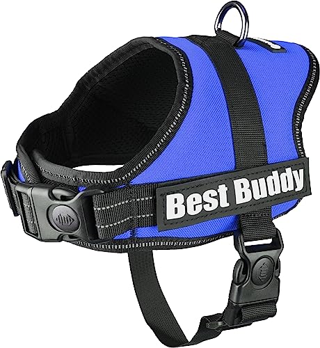 Geschirr Best Buddy Pluto BLAU XS 40-55CM*25MM Geschirr Best Buddy Pluto BLAU XS 40-55CM*25MM von Flamingo
