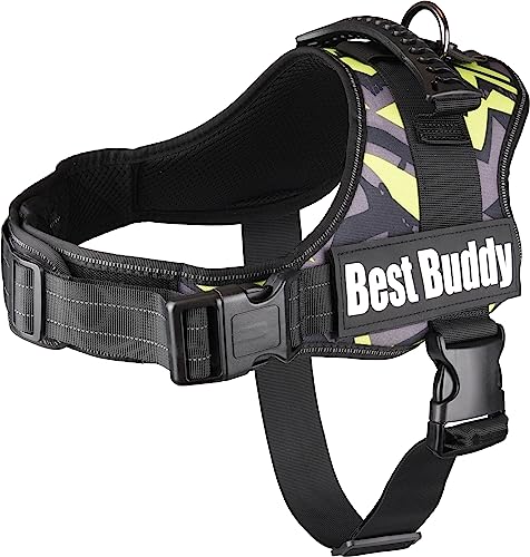 Geschirr Best Buddy Pluto GRÜN Doodle L 70-90CM*50MM Geschirr Best Buddy Pluto GRÜN Doodle L 70-90CM*50MM von Flamingo