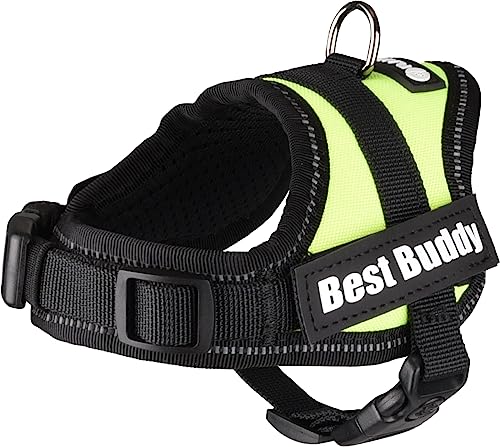Geschirr Best Buddy Pluto NEON GRÜN XXXS 29-33CM 15MM Geschirr Best Buddy Pluto NEON GRÜN XXXS 29-33CM 15MM von Flamingo