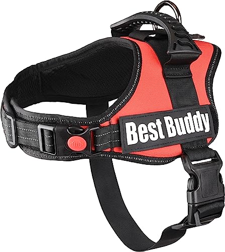 Geschirr Best Buddy Pluto ROT M 60-80CM*38MM Geschirr Best Buddy Pluto ROT M 60-80CM*38MM von Flamingo