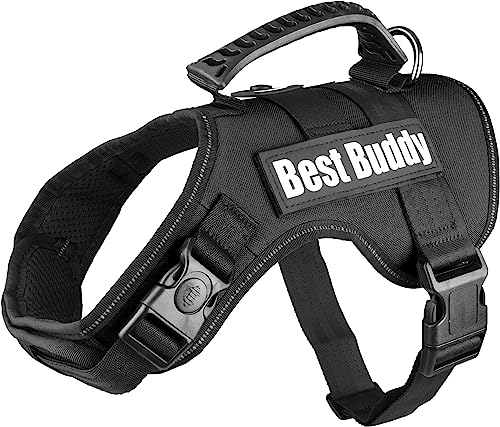 Geschirr Best Buddy Uranus SCHWARZ L 70-90CM*50MM von Flamingo