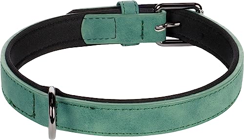 Halsband DELU GRÜN M 36/44CM 20MM Halsband DELU GRÜN M 36/44CM 20MM von Flamingo
