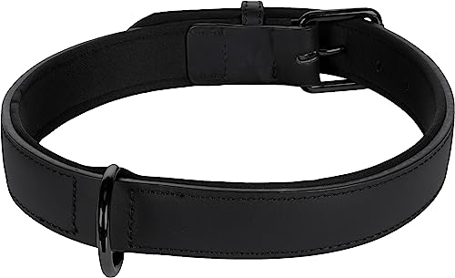 Halsband BINTI SCHWARZ XXL 52/62CM 30MM Halsband BINTI SCHWARZ XXL 52/62CM 30MM von Flamingo