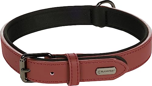 Halsband BINTI ROT L 42/52CM 25MM Halsband BINTI ROT L 42/52CM 25MM von Flamingo