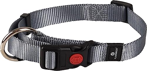 Halsband ZIGGI GRAU M 40-55CM20MM von Flamingo