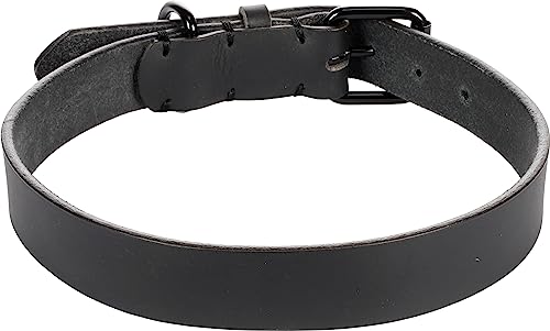 Halsband LEANO SCHWARZ XXL 52-62CM 30MM Halsband LEANO SCHWARZ XXL 52-62CM 30MM von Flamingo