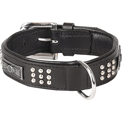 FLAMINGO - Lederhalsband Sedona, Schwarz, Größe S/M, 31-35 cm für Hunde. FLAMINGO - Lederhalsband Sedona, Schwarz, Größe S/M, 31-35 cm für Hunde. von Flamingo