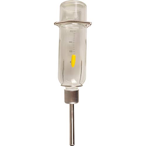 Flamingo 210104 Trinkflasche Athina Glas Nager 350 ml von Flamingo