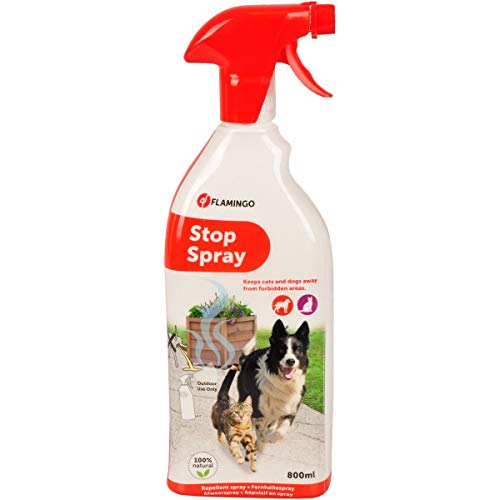 Flamingo 517595 Stückopp Spray 800 ml Flamingo 517595 Stückopp Spray 800 ml von Flamingo