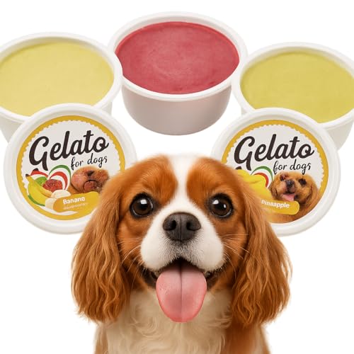Leckerli Hund – Hundesnack – Hundeleckerlies im Eisbecher, mit Ananas-, Bananen- oder Himbeergeschmack – Sorte Überraschung – einzeln bestellbar – Flamingo Leckerli von Flamingo