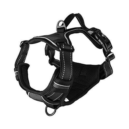 Flamingo Geschirr BALOU SCHWARZ M 50-65CM 25MM Flamingo Geschirr BALOU SCHWARZ M 50-65CM 25MM von Flamingo