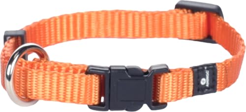 Flamingo Halsband für Hund Ziggi orange XS - 20-35cm 10mm - Stufenlos verstellbar - Mit zugentlastung von Flamingo