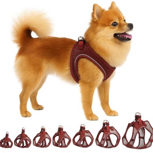 Hundegeschirr - hundegeschirr kleine Hunde - S - Flamingo Harness Step&Go Bento Aubergine von Flamingo