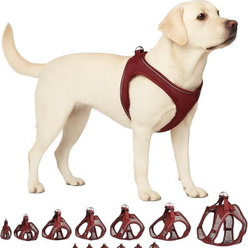 Hundegeschirr - hundegeschirr große Hunde - XL - Flamingo Harness Step&Go Bento Aubergine Hundegeschirr - hundegeschirr große Hunde - XL - Flamingo Harness Step&Go Bento Aubergine von Flamingo