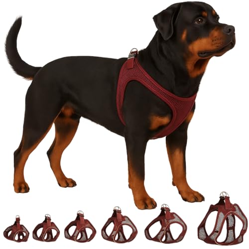 Hundegeschirr - hundegeschirr große Hunde - XXL - Flamingo Harness Step&Go Bento Aubergine von Flamingo