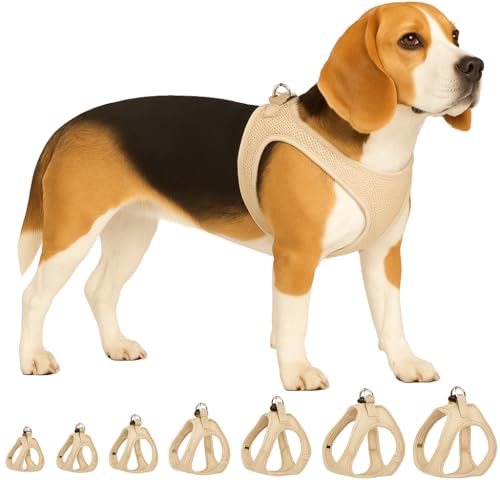 Hundegeschirr - hundegeschirr mittelgroße Hunde - L - Flamingo Harness Step&Go Bento Beige von Flamingo