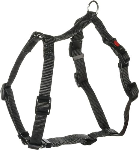 H-Geschirr ZIGGI DUNKELGRAU S 35-50CM 15MM H-Geschirr ZIGGI DUNKELGRAU S 35-50CM 15MM von Flamingo