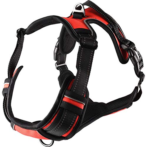 Flamingo Hundegeschirr - hundegeschirr Grosse Hunde - 40–62cm A. Brust / 60–85cm B. Bauch Harness Balou Rot L Flamingo Hundegeschirr - hundegeschirr Grosse Hunde - 40–62cm A. Brust / 60–85cm B. Bauch Harness Balou Rot L von Flamingo