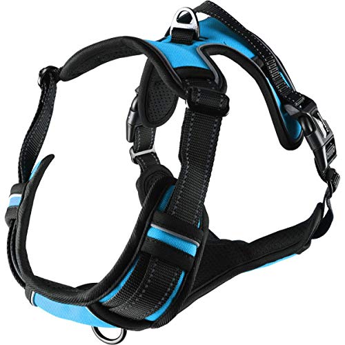 Flamingo Hundegeschirr - hundegeschirr Grosse Hunde - 46–76cm A. Brust / 80–105cm B. Bauch Harness Balou Blau XL Flamingo Hundegeschirr - hundegeschirr Grosse Hunde - 46–76cm A. Brust / 80–105cm B. Bauch Harness Balou Blau XL von Flamingo