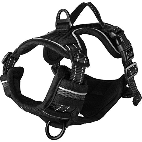 Flamingo Hundegeschirr - hundegeschirr kleine Hunde - 25-45cm A. Brust / 30-45cm B. Bauch Harness Balou Schwarz XS von Flamingo
